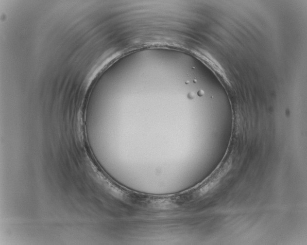 X0000074330798200609152055