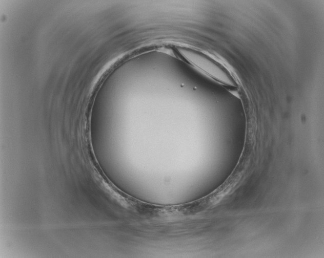 X0000074330799200609152055