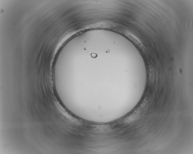 X0000074330800200609152055