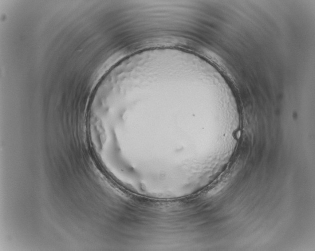 X0000074330802200609152055