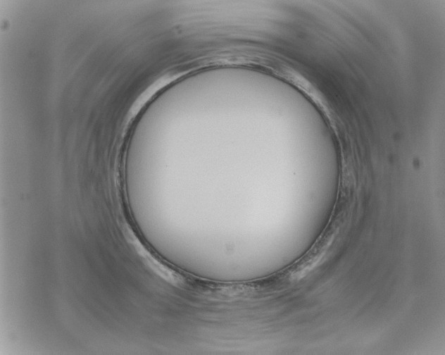 X0000074330803200609152055