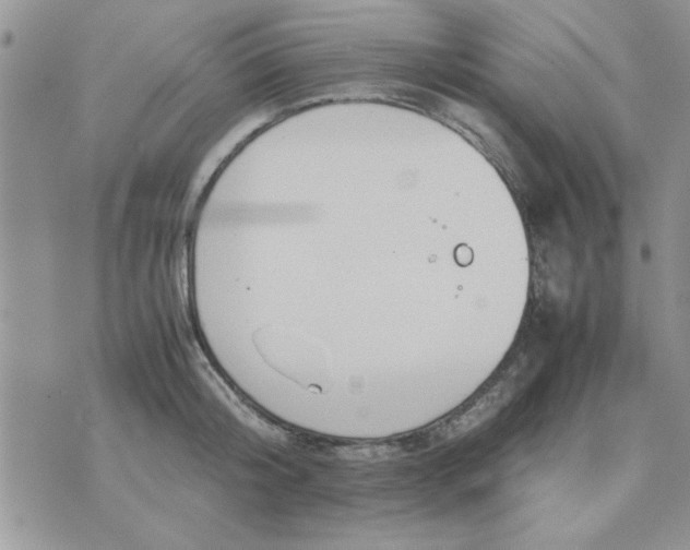 X0000074330804200609152055