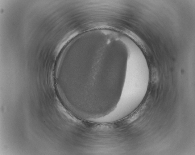 X0000074330806200609152055