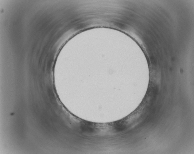 X0000074330807200609152055