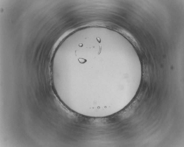 X0000074330808200609152055