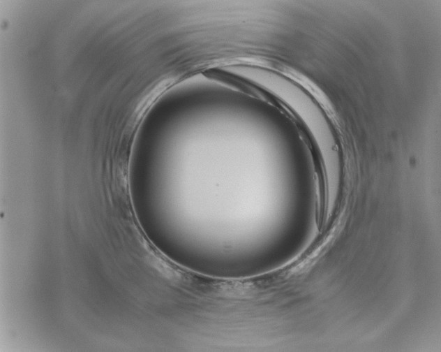 X0000074330809200609152055