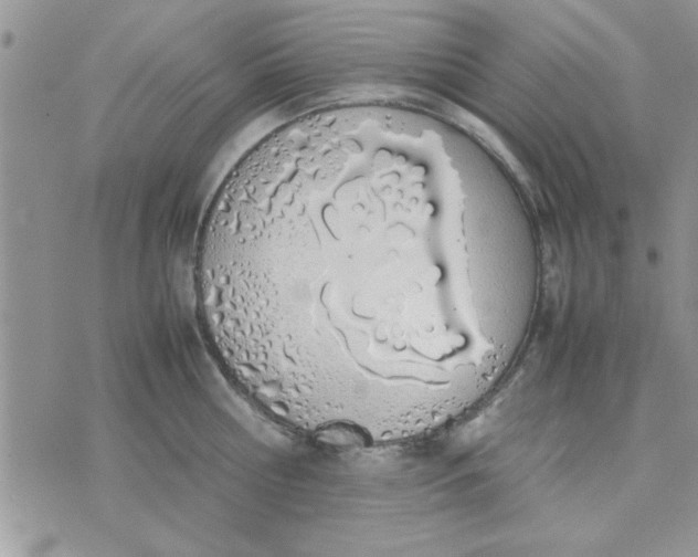 X0000074330810200609152055