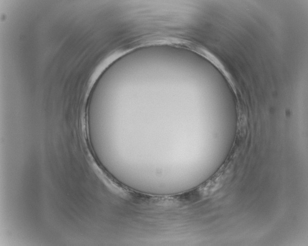 X0000074330811200609152055