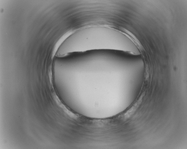 X0000074330812200609152055