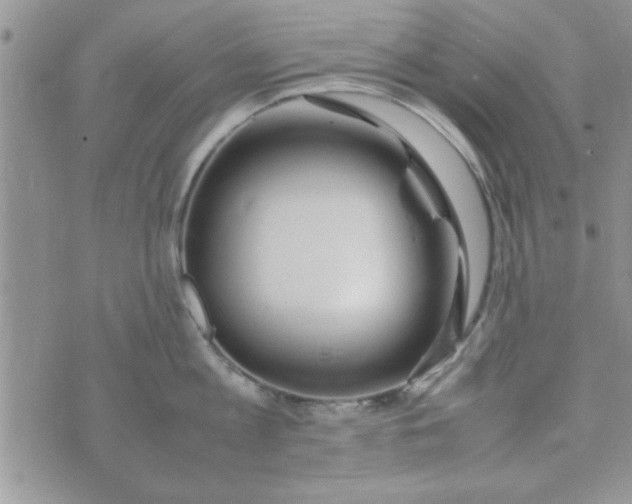 X0000074330813200609152055