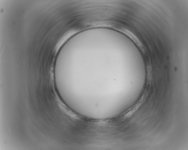 X0000074330814200609152055