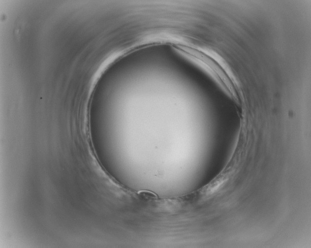 X0000074330815200609152055