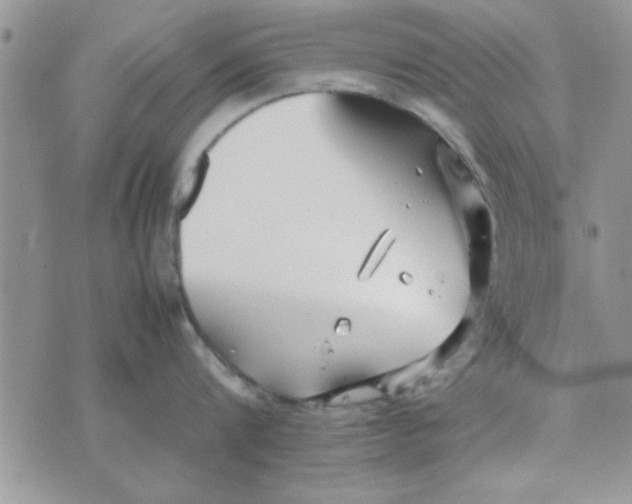 X0000074330816200609152055