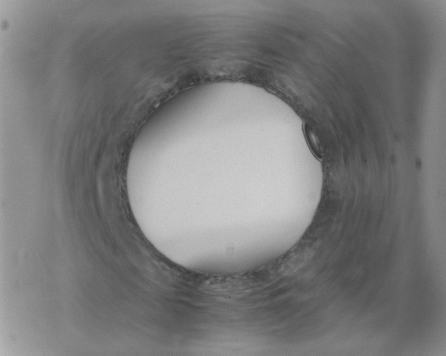 X0000074330817200609152054