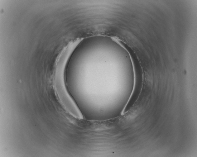 X0000074330818200609152054