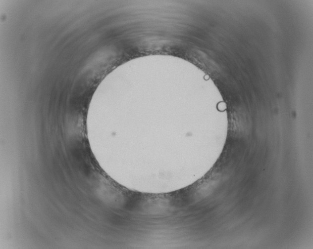 X0000074330820200609152054