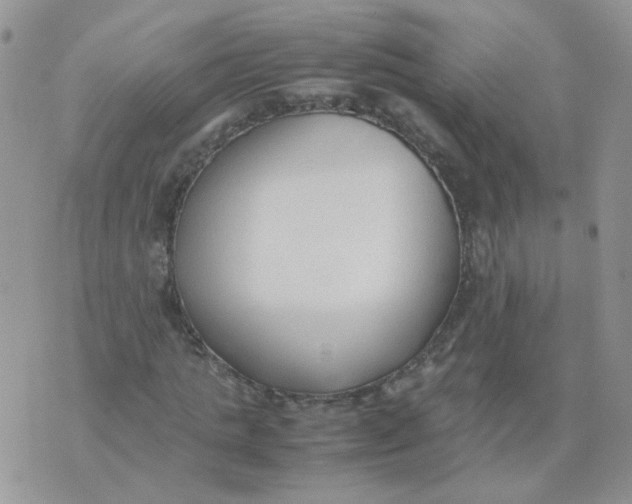 X0000074330821200609152054