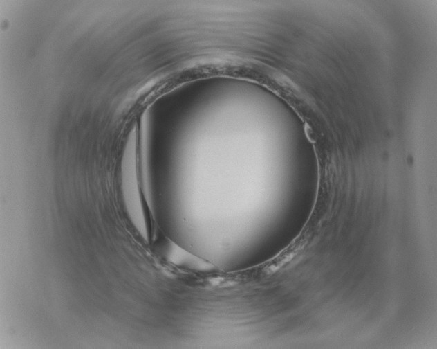 X0000074330822200609152054