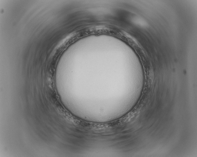 X0000074330823200609152054