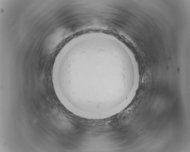 X0000074330824200609152054