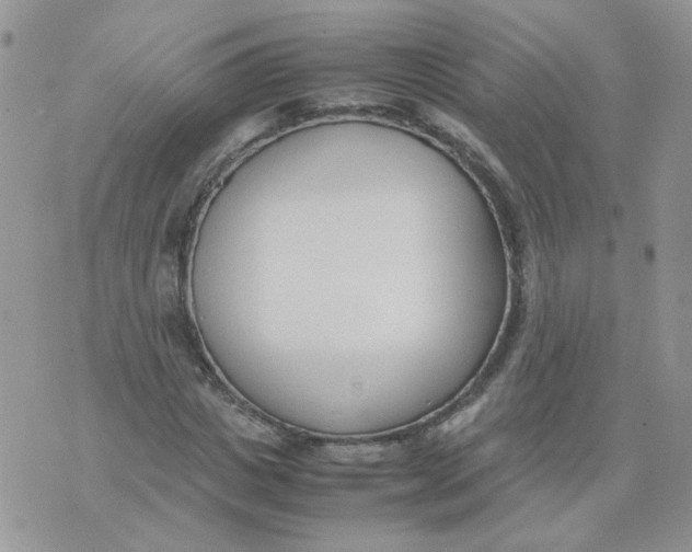 X0000074330825200609152054