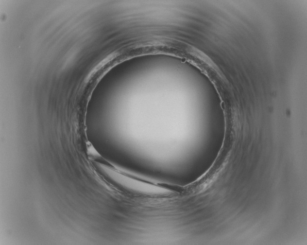 X0000074330826200609152054