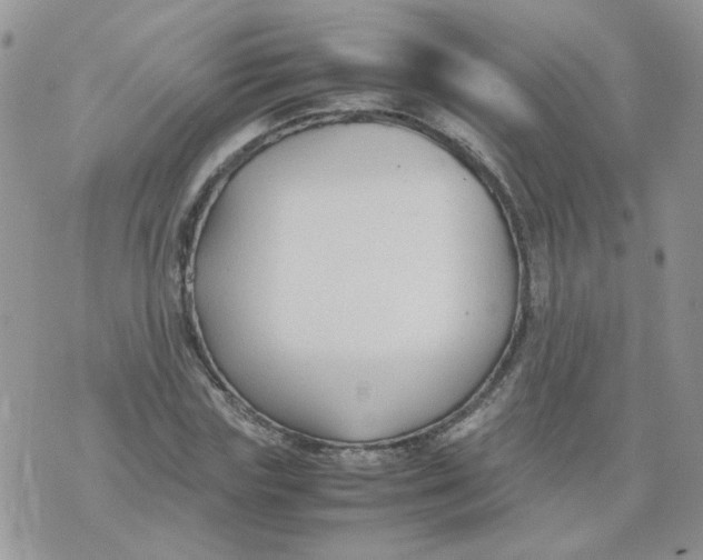 X0000074330827200609152055