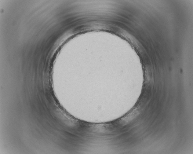 X0000074330828200609152055