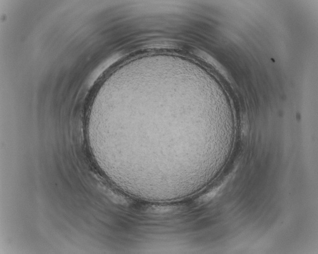 X0000074330829200609152055