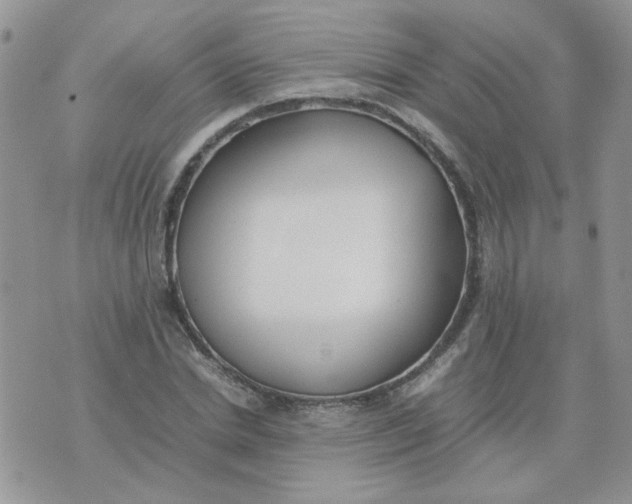 X0000074330830200609152055