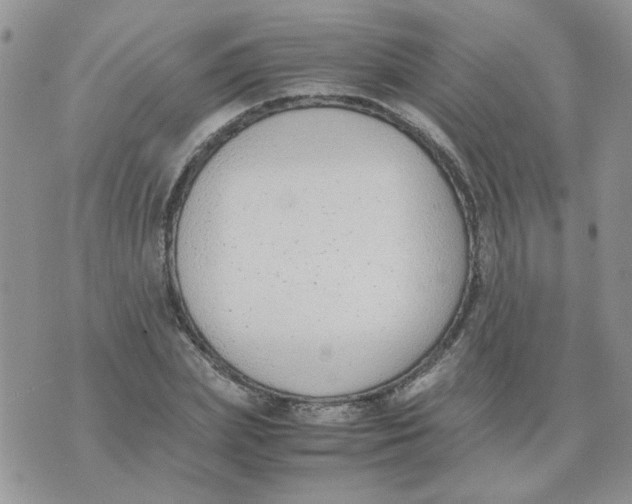 X0000074330831200609152055