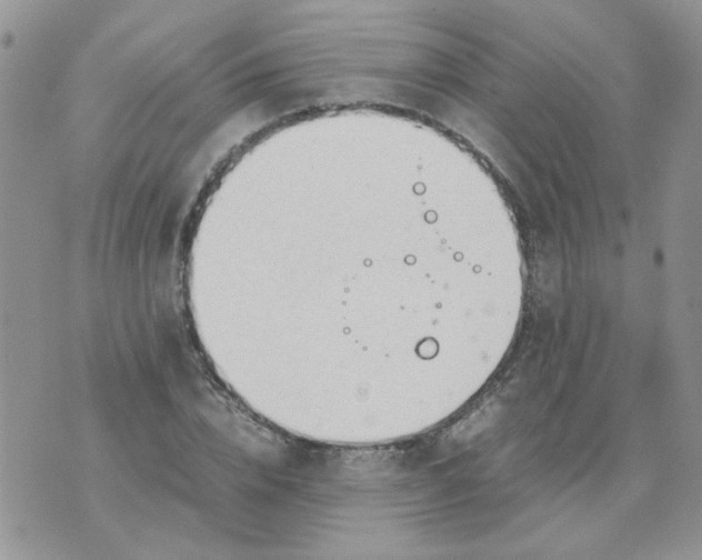 X0000074330832200609152055