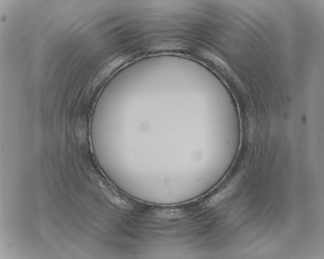 X0000074330833200609152055