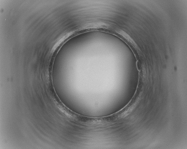 X0000074330834200609152055