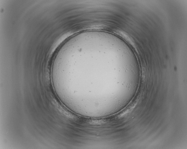 X0000074330835200609152055