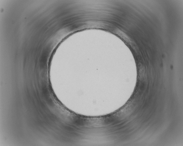 X0000074330836200609152055