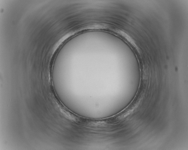 X0000074330837200609152055