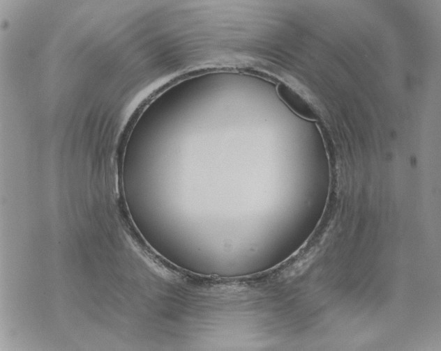 X0000074330838200609152055