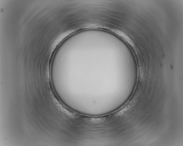 X0000074330839200609152055