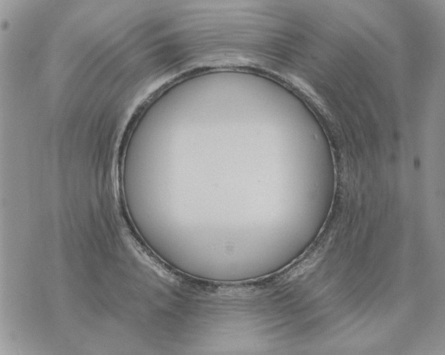 X0000074330840200609152055