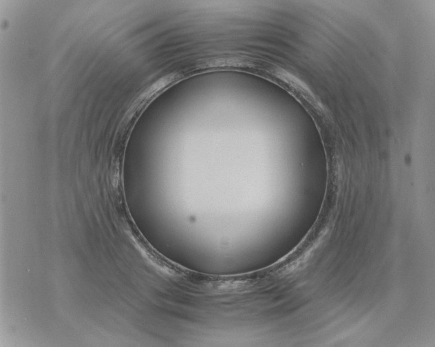 X0000074330841200609152055