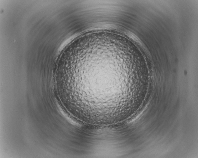 X0000074330842200609152055