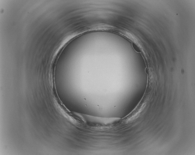 X0000074330843200609152055