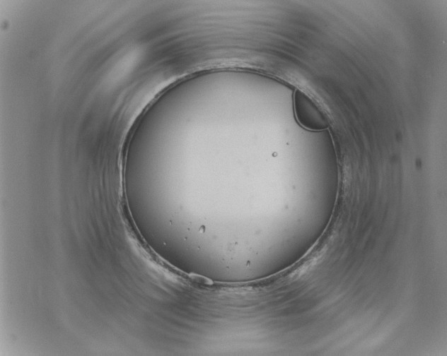 X0000074330844200609152055