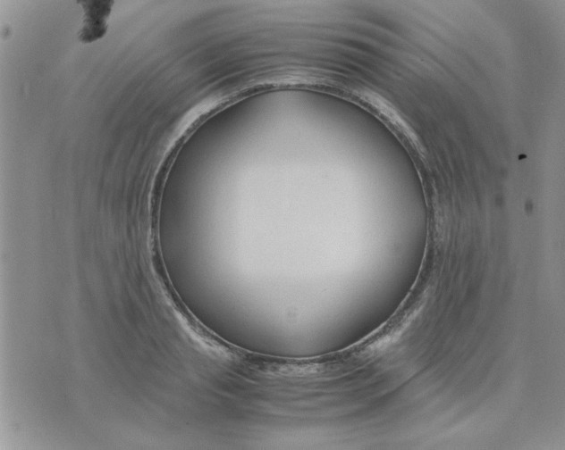 X0000074330845200609152055