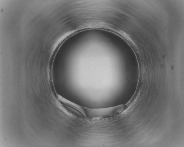 X0000074330846200609152055