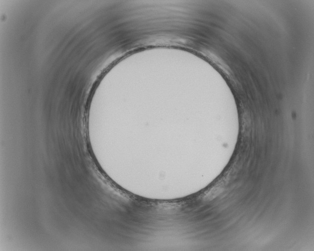 X0000074330848200609152055