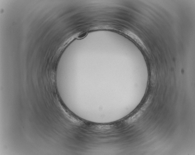 X0000074330849200609152055