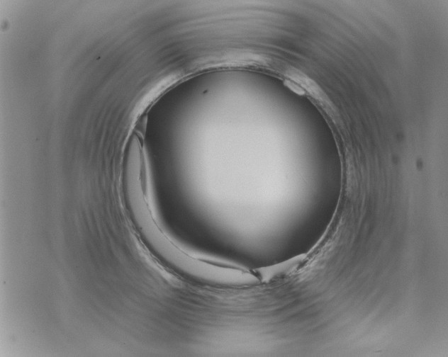 X0000074330850200609152055