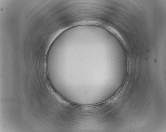 X0000074330852200609152055